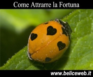 Coccinella porta fortuna - Come Attirare la Fortuna