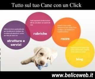 Tutto quello che ti serve per il tuo Cane con un Click Tutto quello che ti serve per il tuo Cane con un Click