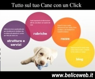 Tutto quello che ti serve per il tuo Cane con un Click