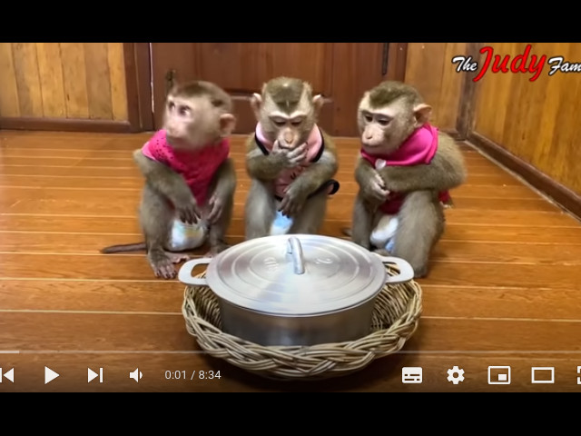 Guardate Come Sono Divertenti queste 3 Scimmiette