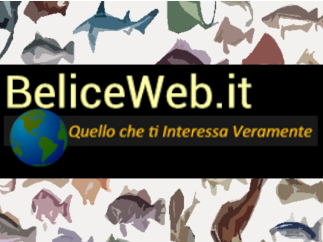 Come Congelare il Pesce