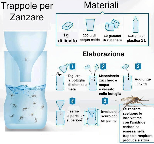 Come Costruire una Trappola Antizanzare
