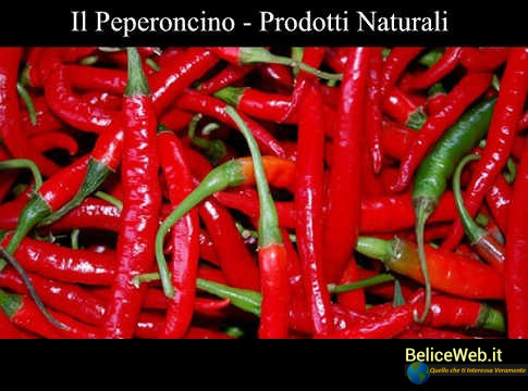 Come Coltivare il Peperoncino