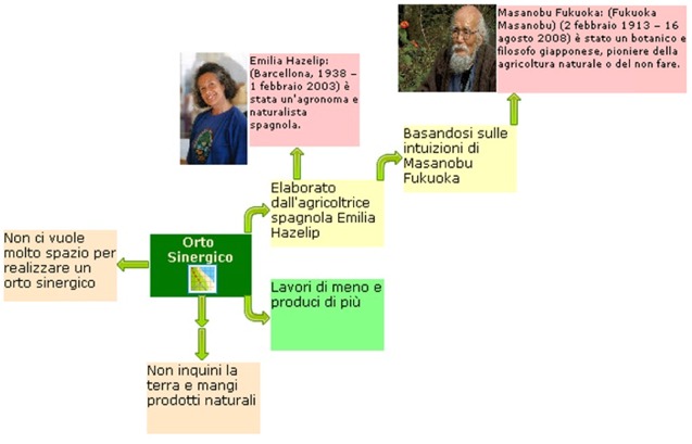 Come Creare un Orto sinergico