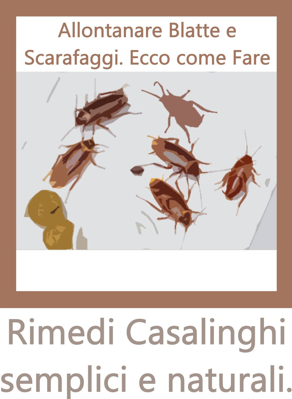 Rimedi per Allontanare le Blatte